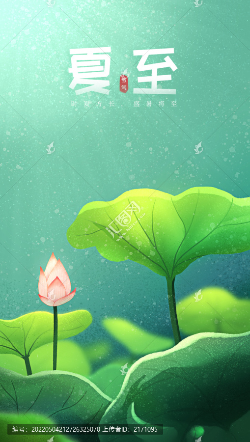 二十四節(jié)氣之夏至荷花荷葉