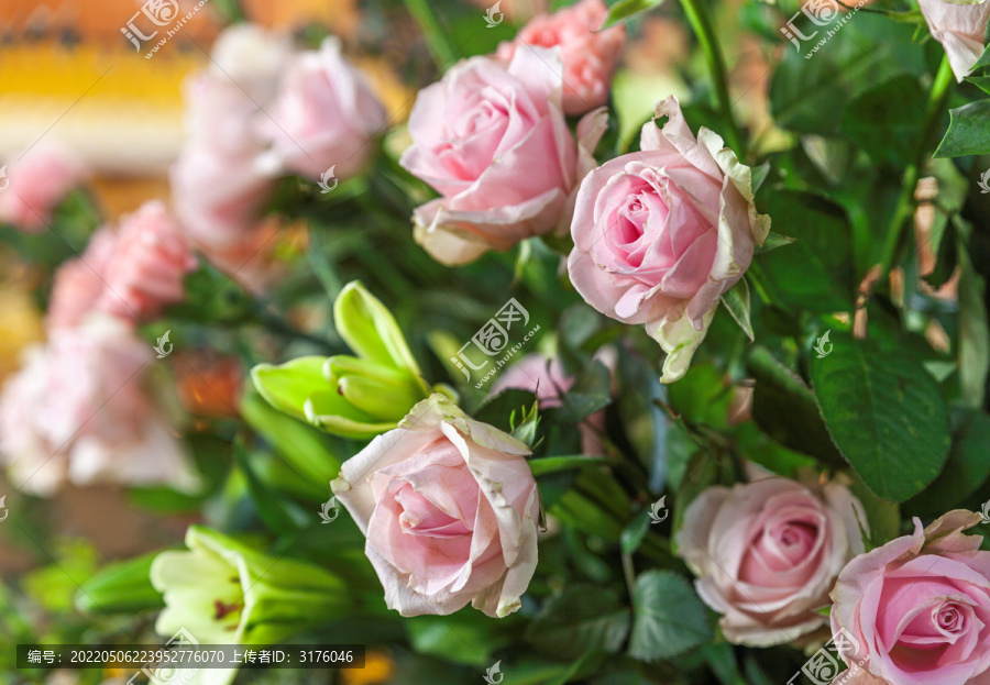五台山鲜花玫瑰