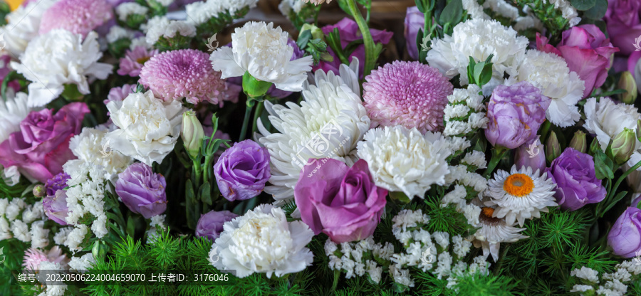 五台山寺庙鲜花清明节菊花