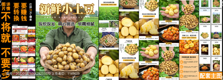 新鮮小土豆詳情
