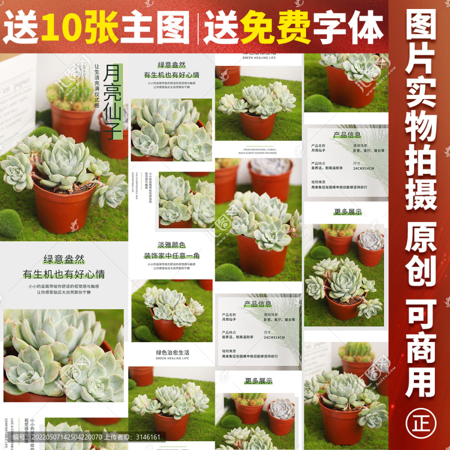 月亮仙子詳情頁(yè)