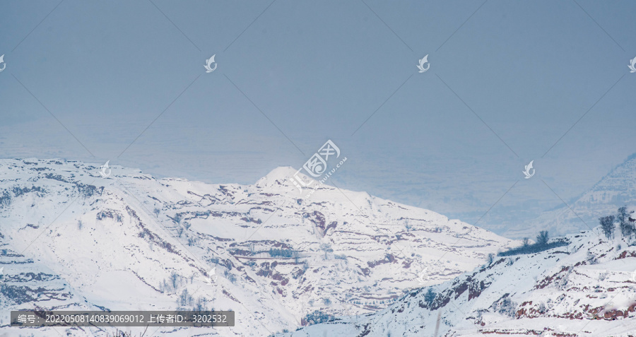 冬季雪景