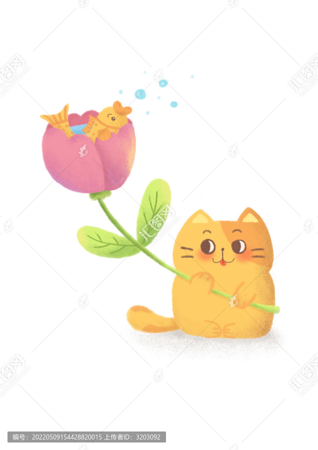 貓與花