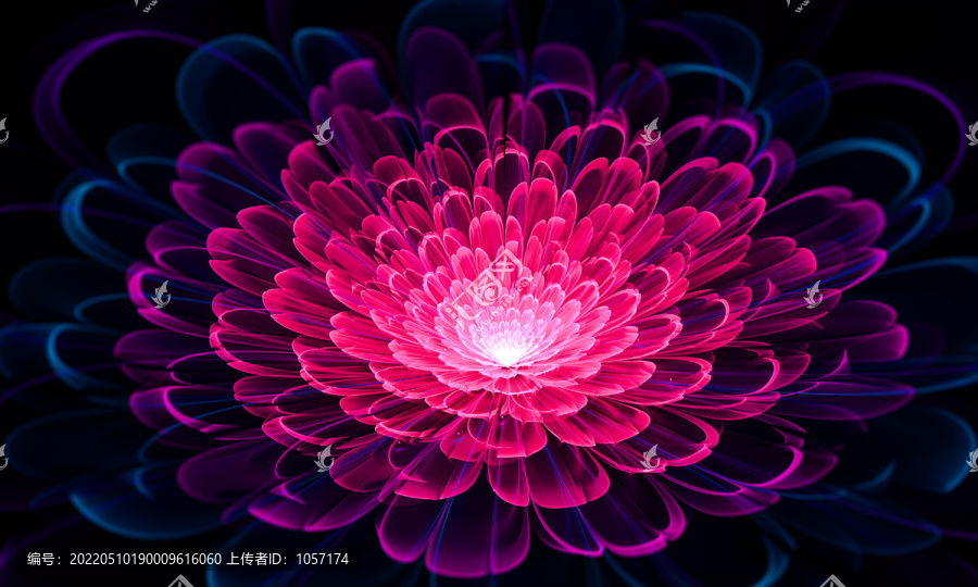 花開(kāi)