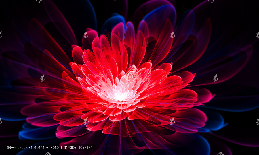 分形花
