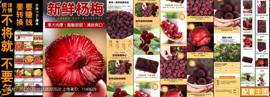 新鮮楊梅詳情