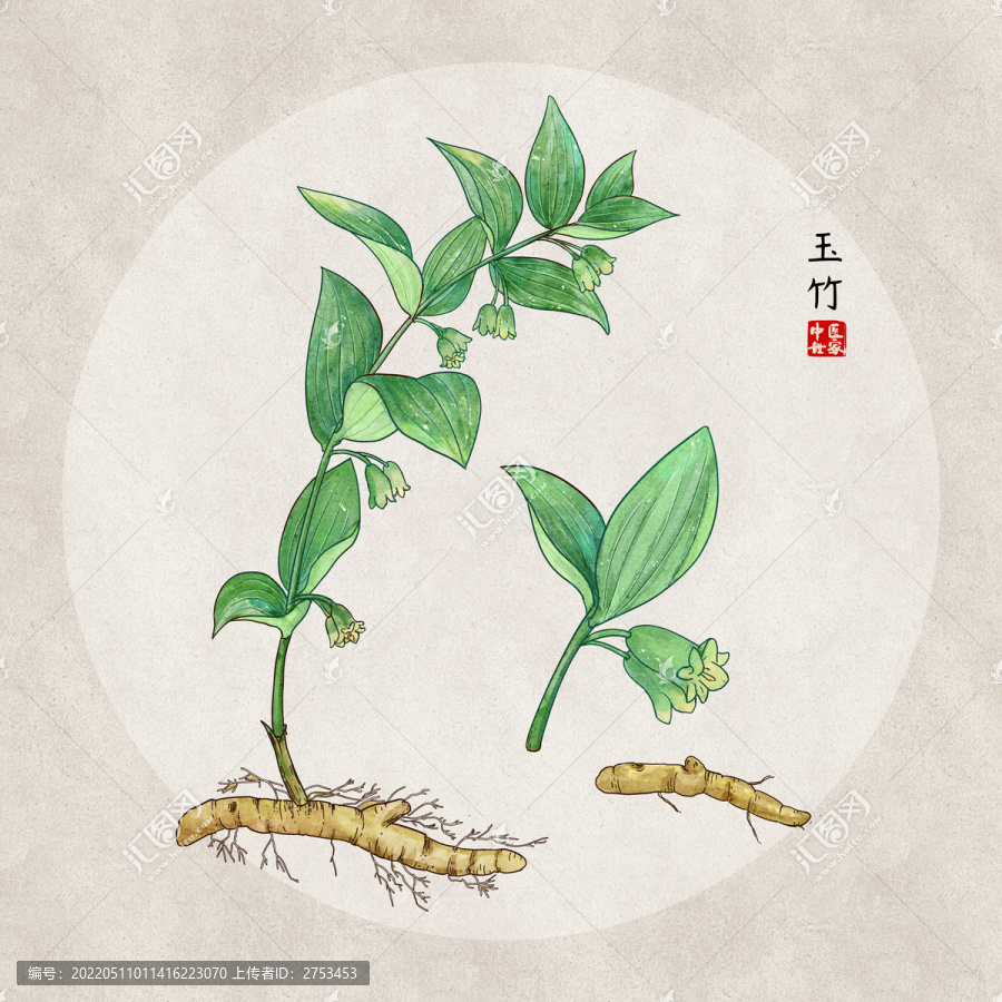 玉竹