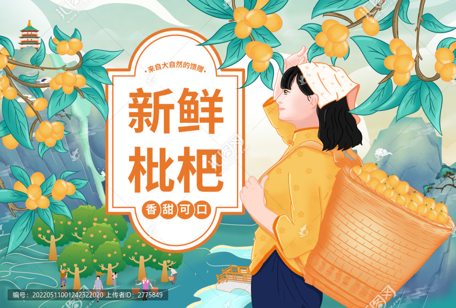 農(nóng)家女孩摘枇杷