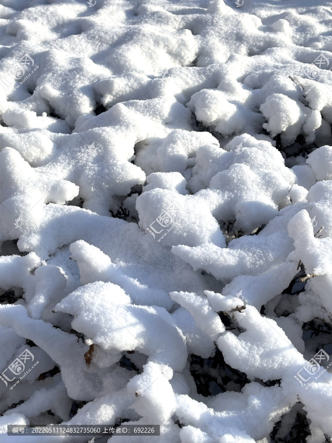 白雪