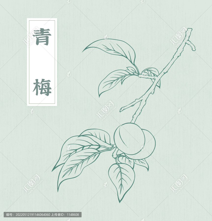 手繪青梅