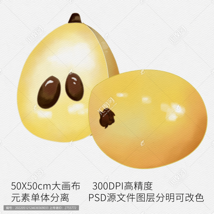 手繪枇杷