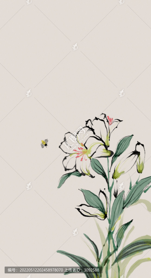 百合花