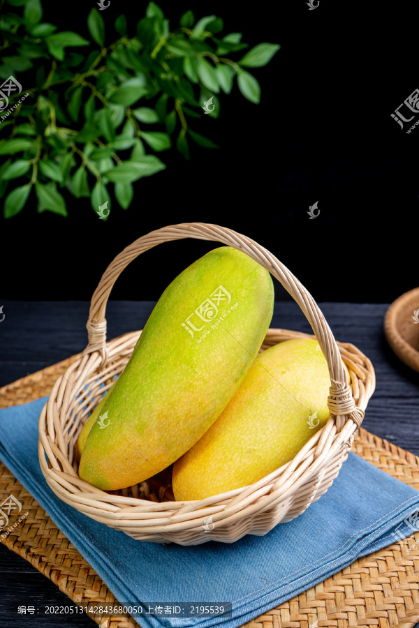 金煌芒