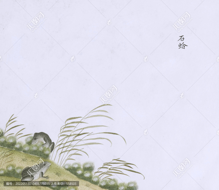 石蛙蟲(chóng)草國(guó)畫(huà)小品