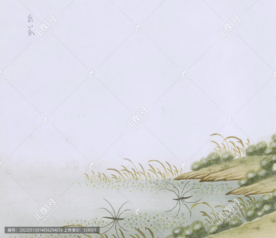 水黽蟲草國畫小品