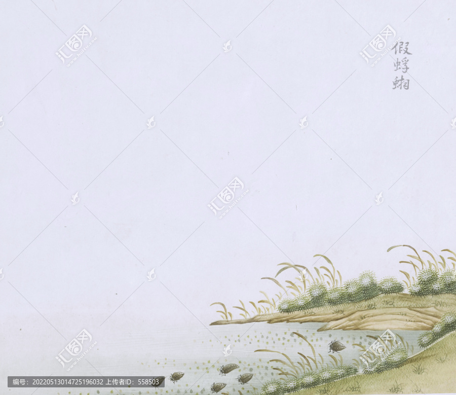 假浮游蟲草國畫小品