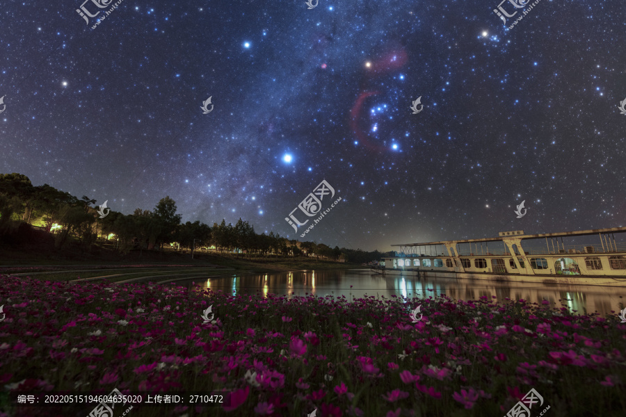 夏季格桑花银河星空