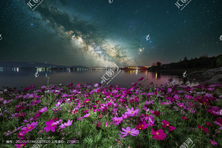 夏季格桑花银河星空