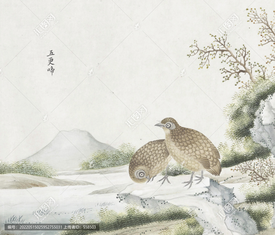 五更啼花鳥國畫素材插畫
