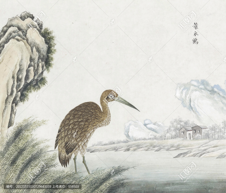 蓑衣鶴花鳥國畫素材插畫