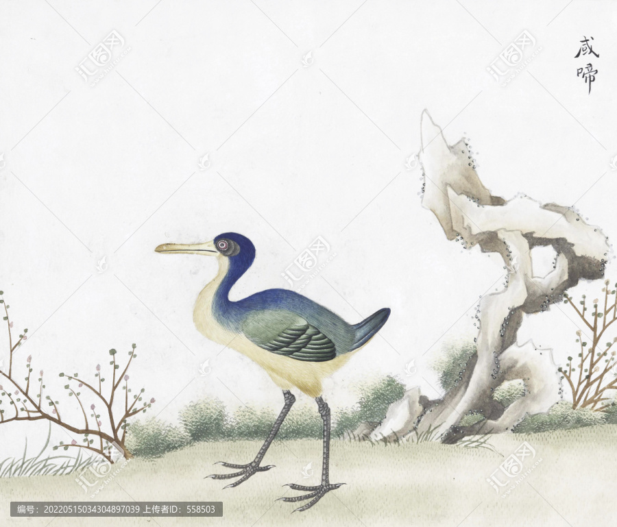 或啼花鳥(niǎo)國(guó)畫(huà)素材插畫(huà)