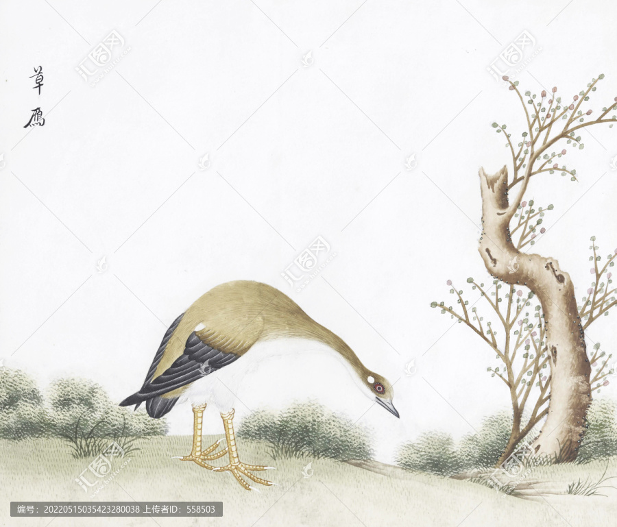 草雁花鳥國畫素材插畫
