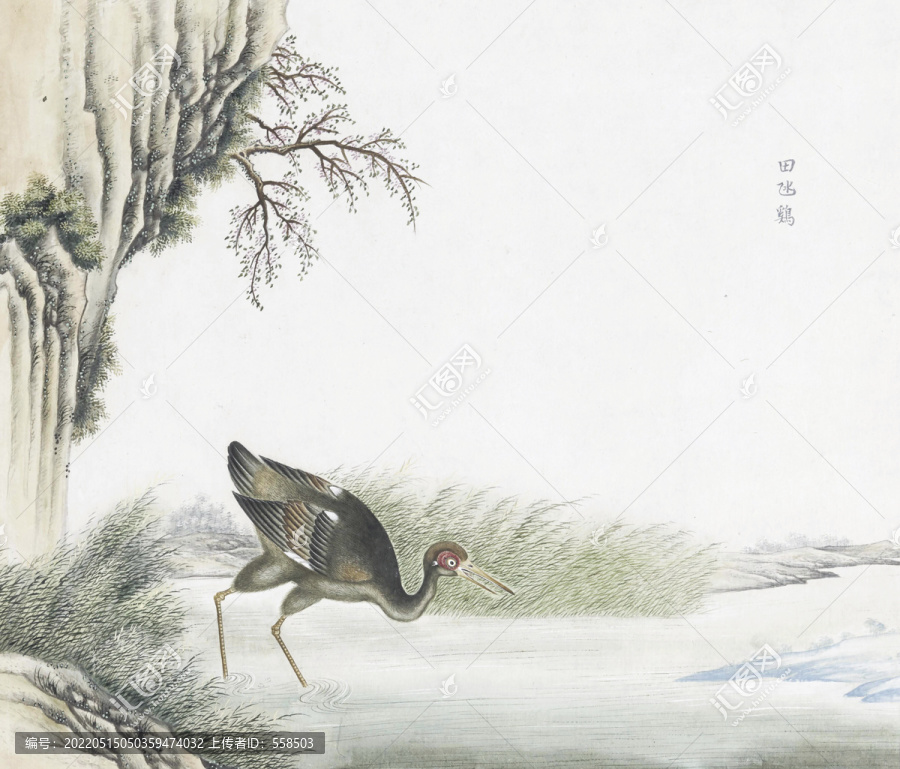 田雞花鳥國畫素材插畫