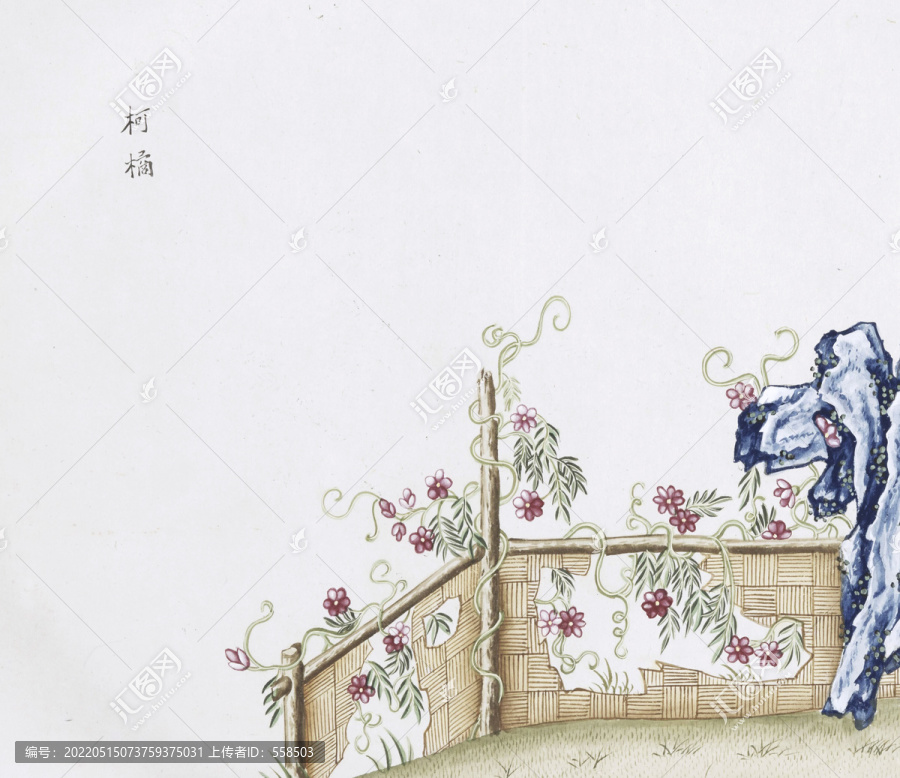 柯橘中草藥國畫素材插畫國畫
