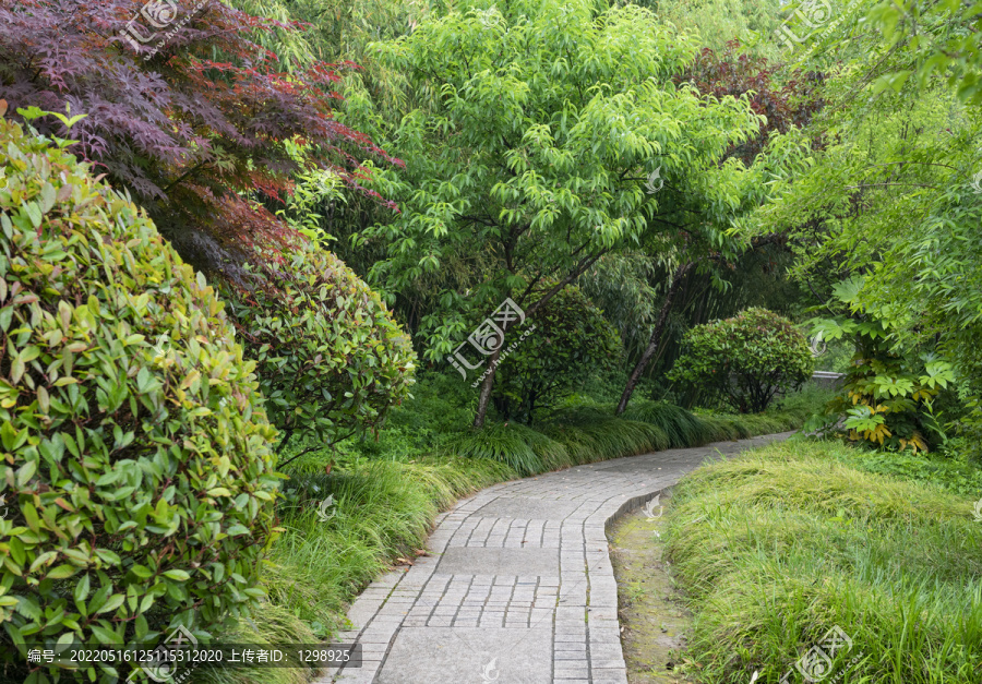 园林步道