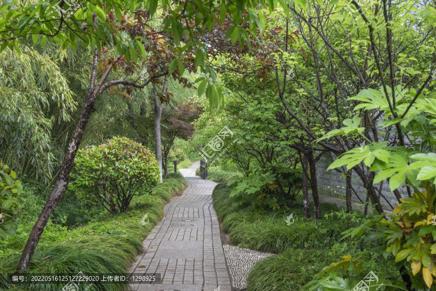 园林林荫步道