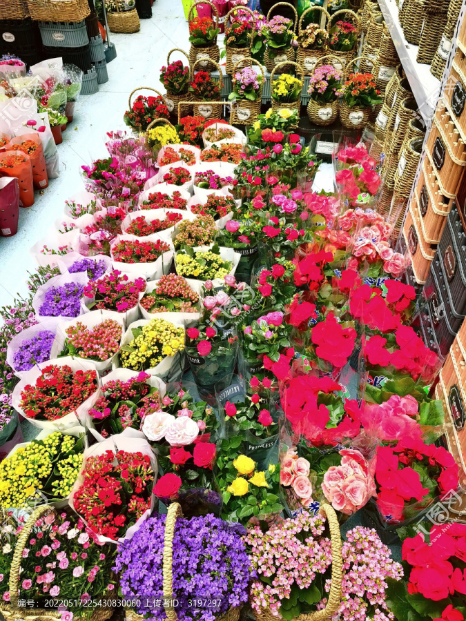 复工复产花卉市场