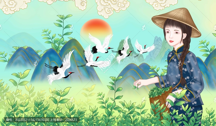 采茶姑娘包裝插畫背景圖