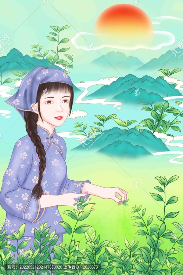 茶葉包裝插畫
