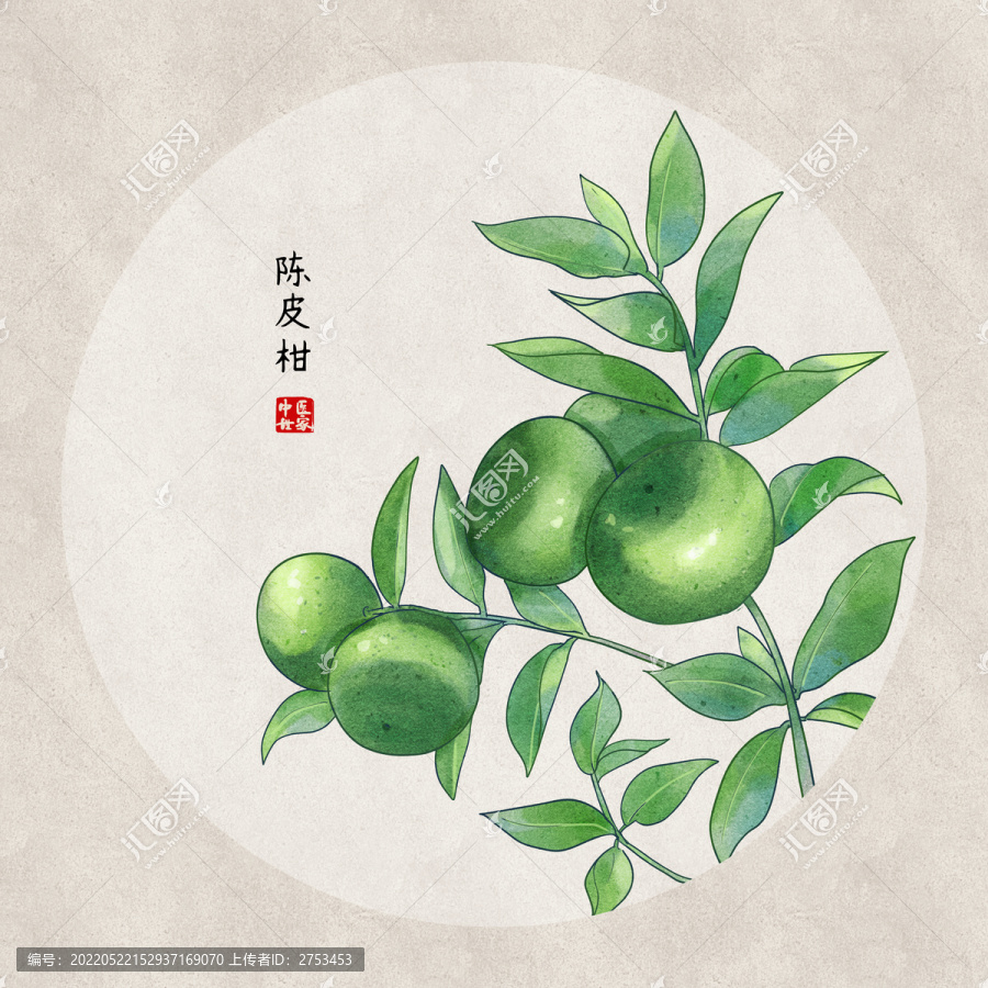 陳皮柑