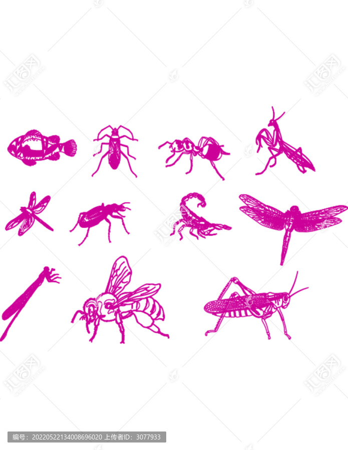 各种昆虫集合手绘图