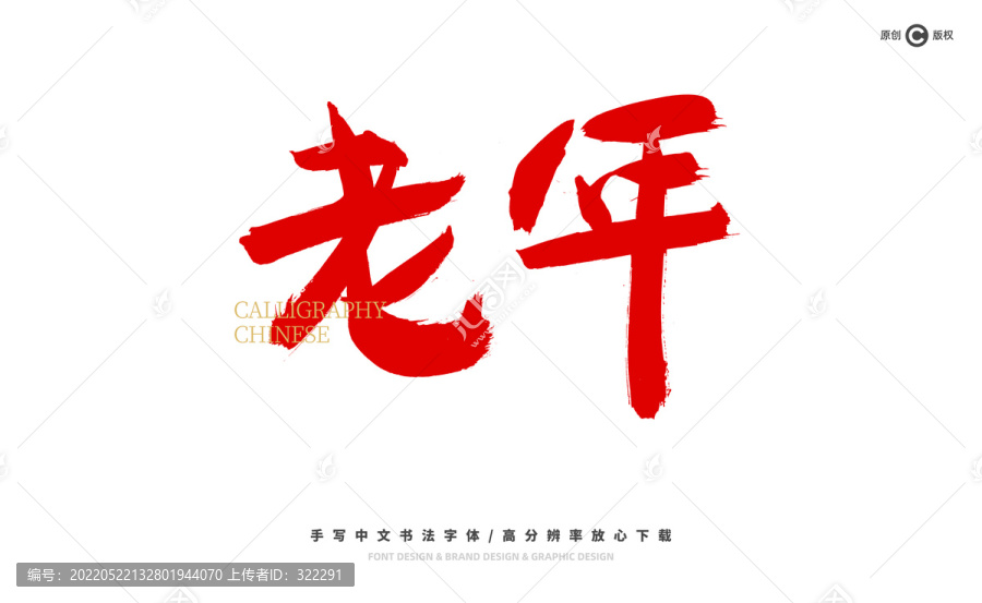 老年