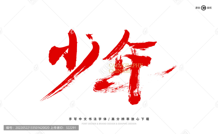 少年