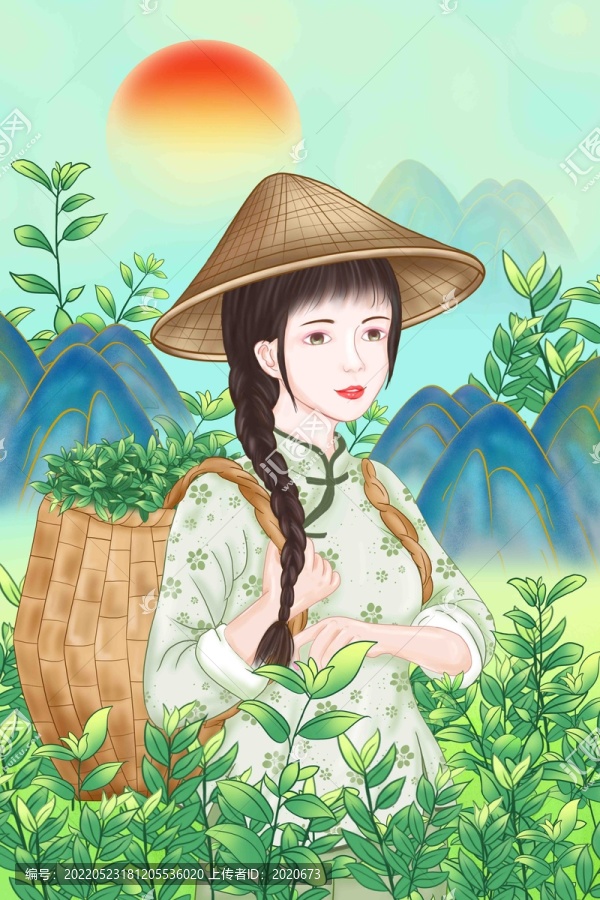 茶葉包裝插畫