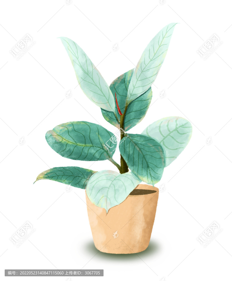 盆栽