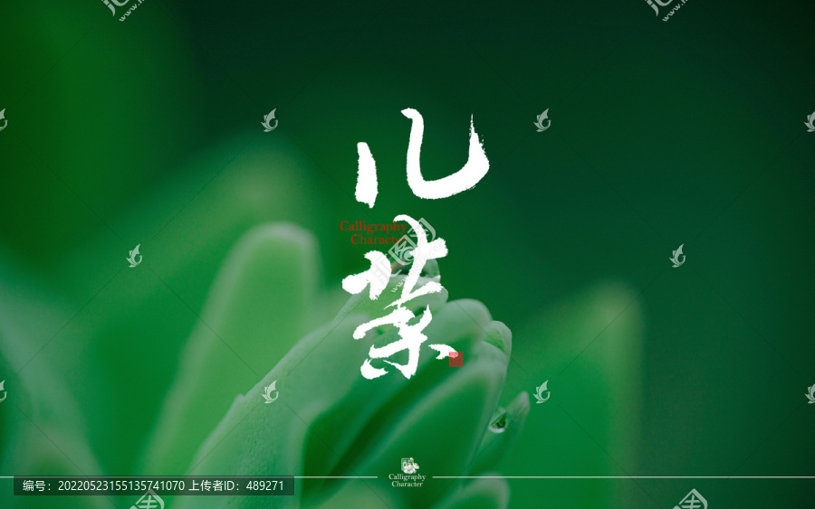 兒菜書法字體