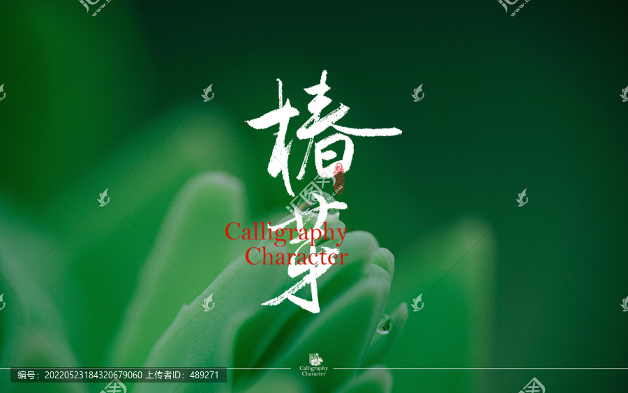椿芽書(shū)法字體