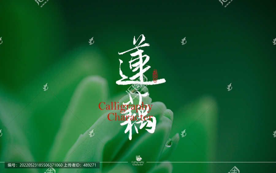 蓮藕書法字體