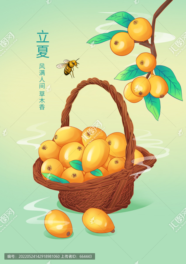 枇杷插畫(huà)