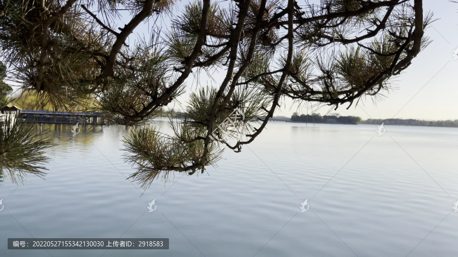 公园游览旅游游玩踏青天气湖水