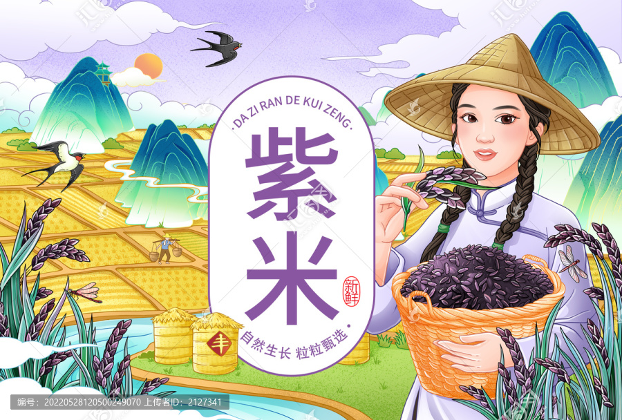 紫米手繪插畫