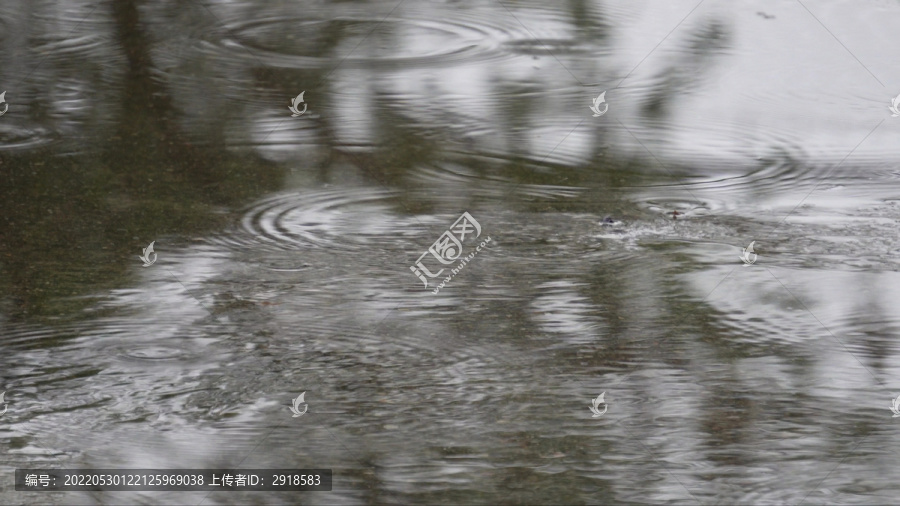 下雨积水水中倒影