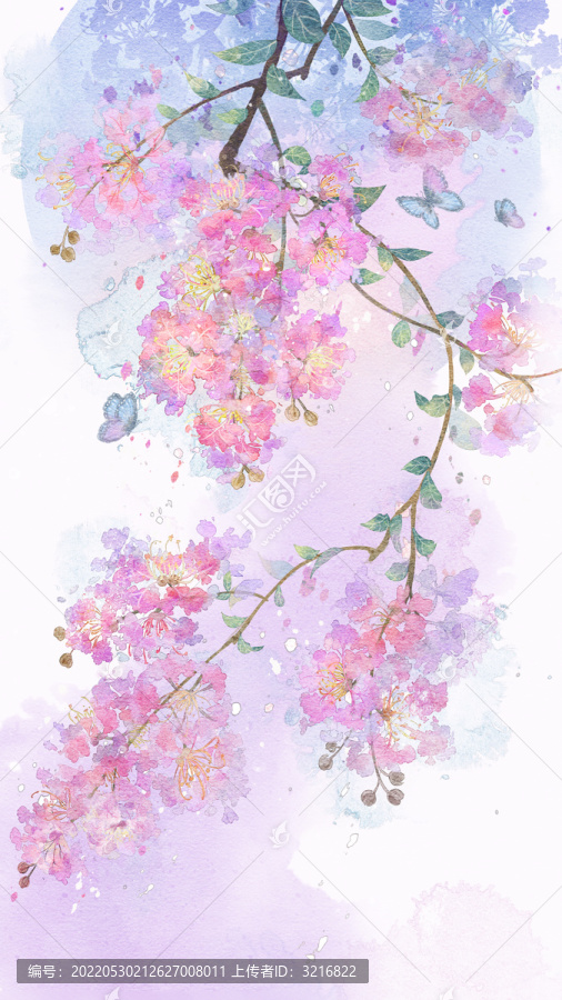 紫薇花