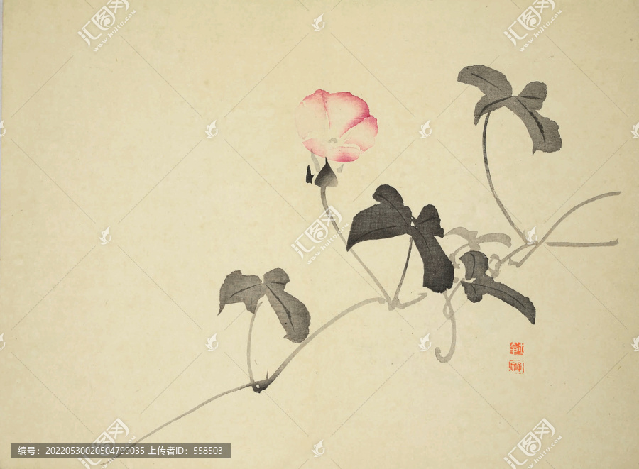 牵牛花水墨国画小品