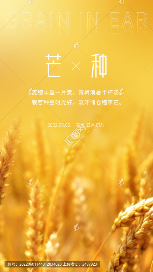 芒種模板