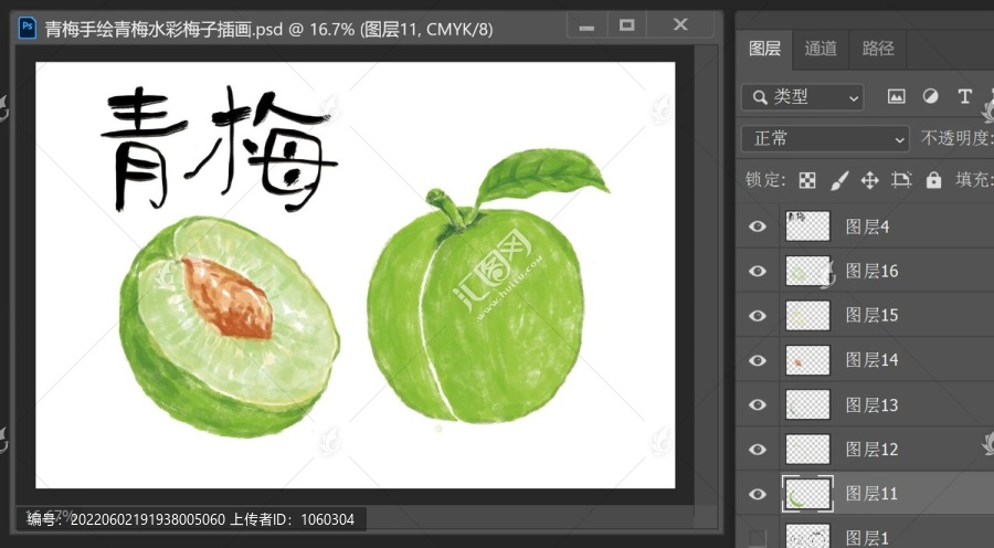 青梅手繪青梅水彩梅子插畫